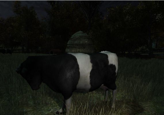 The Cows Are Watching EN/DE Global Steam Digital Key