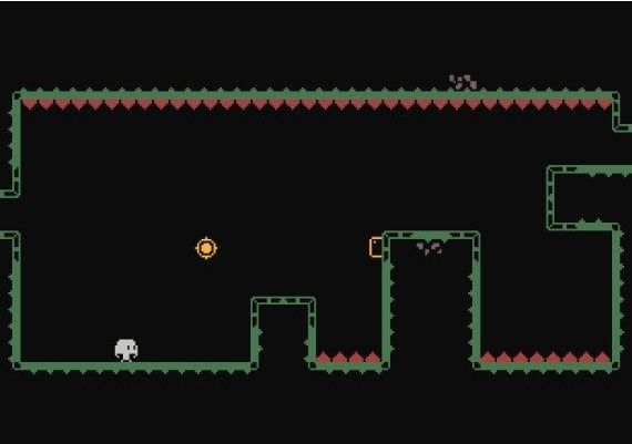 Rabio EN Argentina Xbox Windows Digital Key