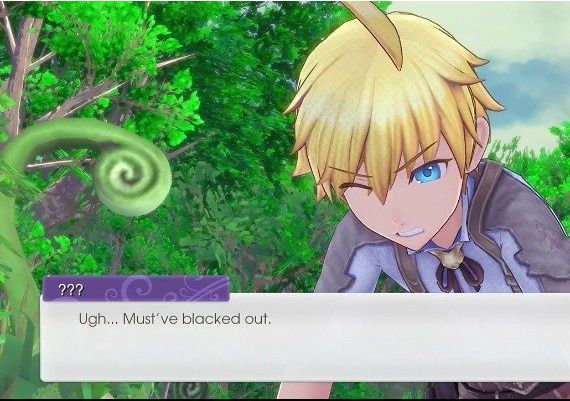 Rune Factory 5 EN/DE/FR/JA United States Nintendo Switch Digital Key