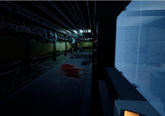 The Teleport EN/TR Global Steam Digital Key