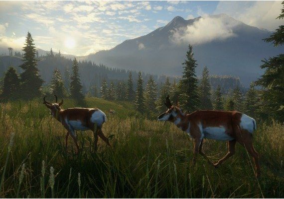 theHunter: Call of the Wild - Silver Ridge Peaks DLC EU Steam Digital Key