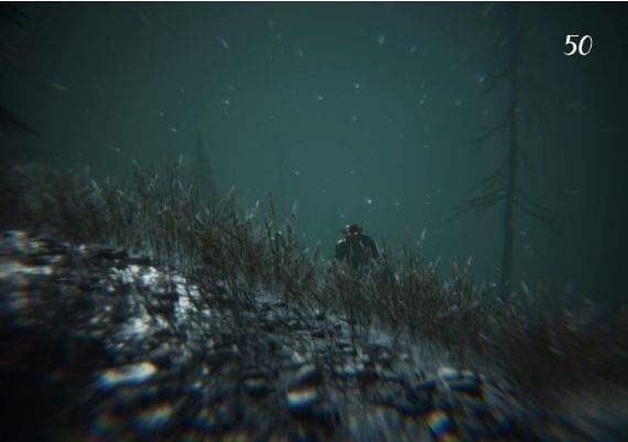 Gevaudan EN/FR Global Steam Digital Key