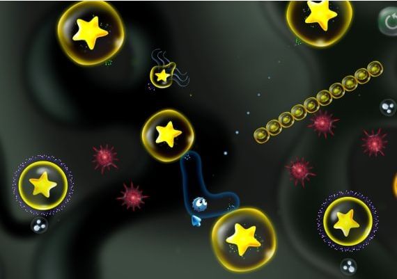 Cyto EN Global Steam Digital Key