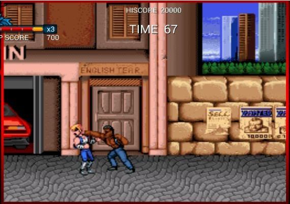 Double Dragon Trilogy Global Steam Digital Key