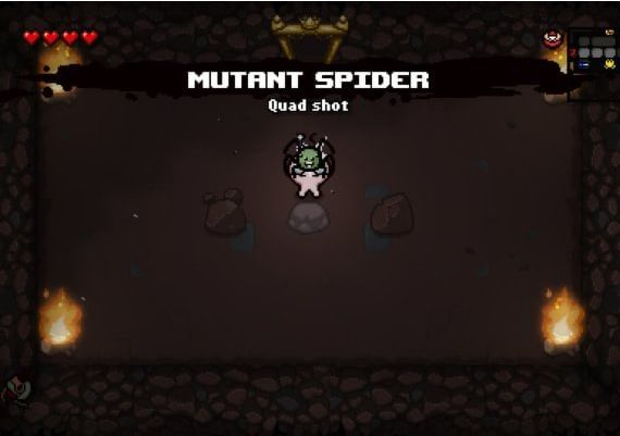 The Binding of Isaac: Rebirth - Steam Account EN Global Steam Digital Key