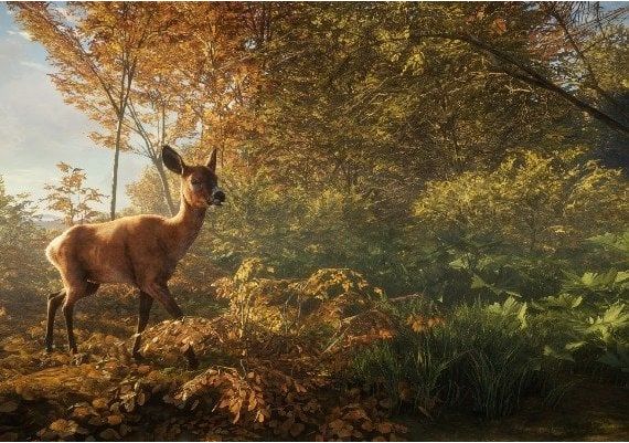 theHunter: Call of the Wild - Master Hunter Bundle Argentina Xbox Windows Digital Key