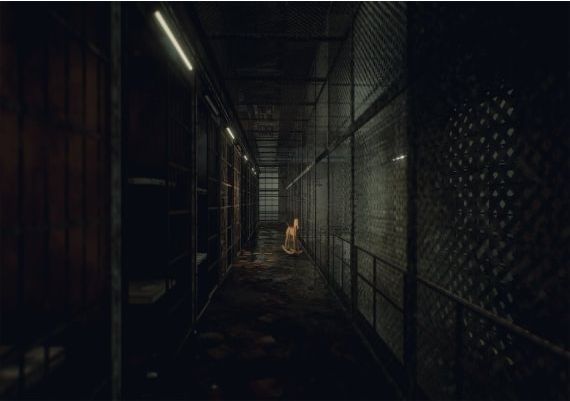 Inmates EN/DE/FR/IT/RU/ZH/ES Global Steam Digital Key