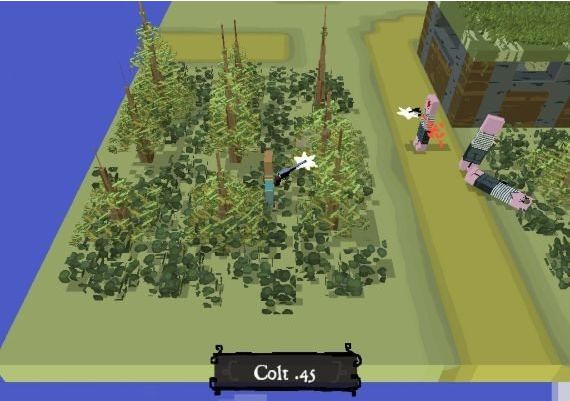 The Real Texas EN Global Steam Digital Key