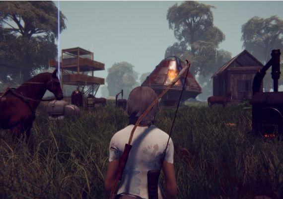 Stars End EN/DE/FR/RU/ZH Global Steam Digital Key