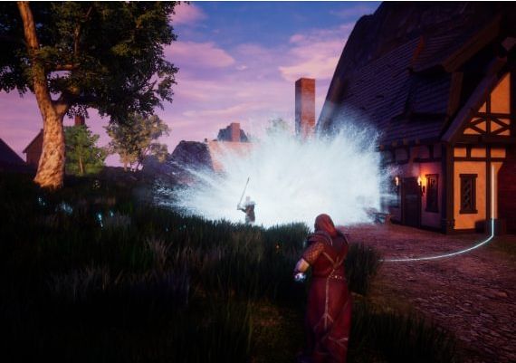 Fictorum EN Global Steam Digital Key