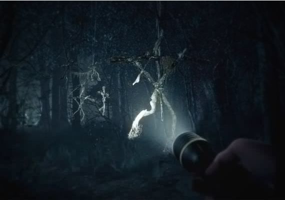 Blair Witch Argentina Xbox One/Series/Windows Digital Key