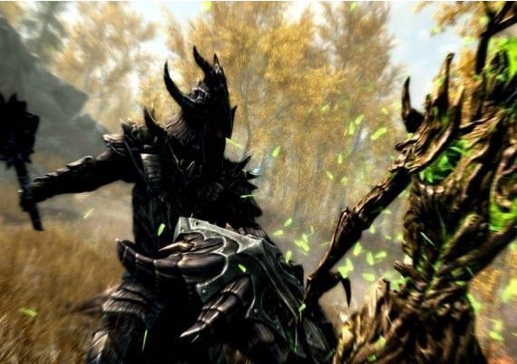 The Elder Scrolls V: Skyrim - + Fallout 4 GOTY Special Edition EN Global Steam Digital Key