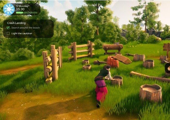 The Witch of Fern Island EN/PL Global Steam Digital Key