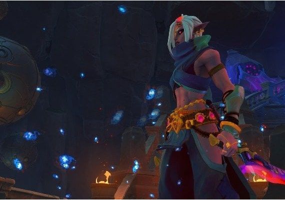 Wayfinder Global Steam Digital Key