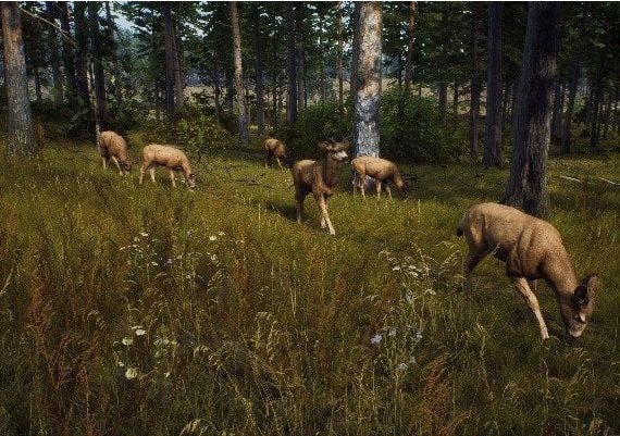 Way of the Hunter EN United States Xbox Series Digital Key