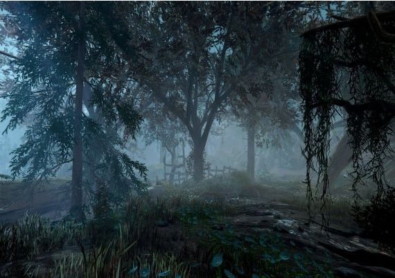 Warhammer: Vermintide 2 - Back to Ubersreik DLC EN/DE/FR/IT/PL/PT/RU/ZH EU Steam Digital Key