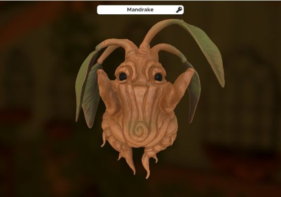 Escape Simulator: Magic DLC Global Steam Digital Key