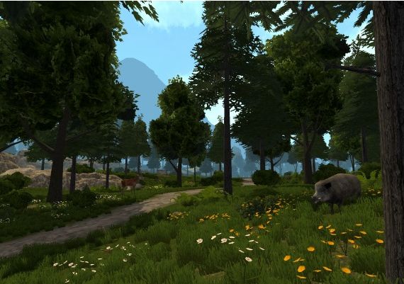 Medieval Dynasty: New Settlement VR EN Global Meta Quest Digital Key