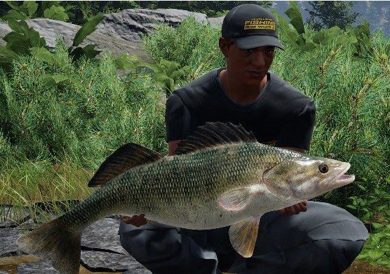 Fishing Sim World: Pro Tour - Jezioro Bestii DLC EN/DE/FR/PL/RU/ZH/ES Global Steam Digital Key