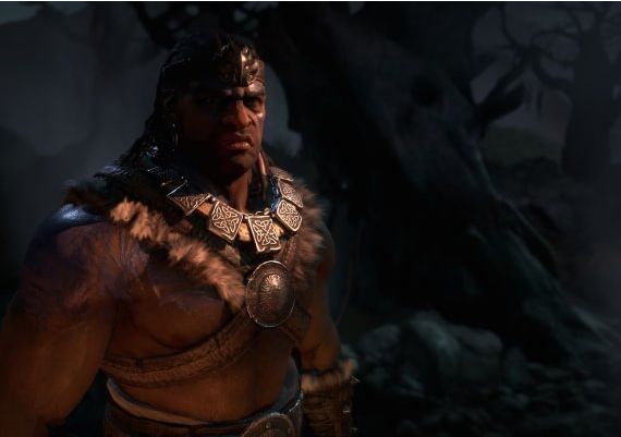 Diablo 4 Ultimate Edition EN EU PS5 Digital Key