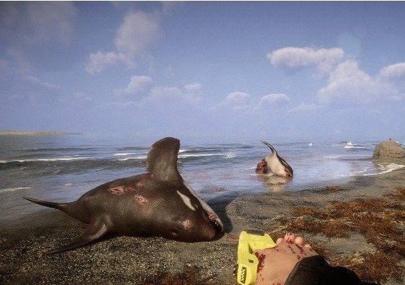 Sons Of The Forest - Steam Account Global Steam Digital Key