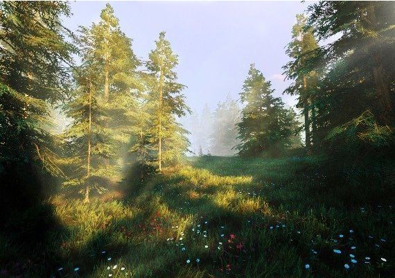 Hunting Simulator 2 Bear Hunter Edition EN Argentina Xbox Series Digital Key