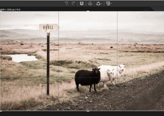 InPixio Photo Clip 8 Professional for Win EN Global Software License Digital Key
