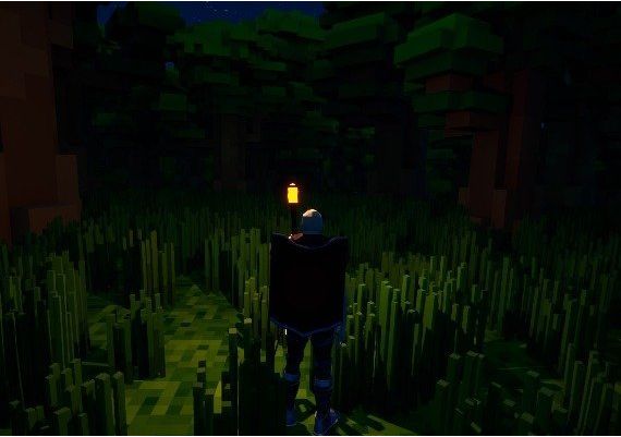 Hurricane EN Global Steam Digital Key