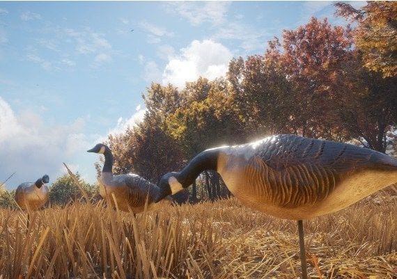 theHunter: Call of the Wild - Wild Goose Chase Gear DLC EN Argentina Xbox One/Series Digital Key