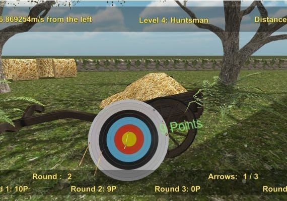 Precision Archery: Competitive EN Global Steam Digital Key