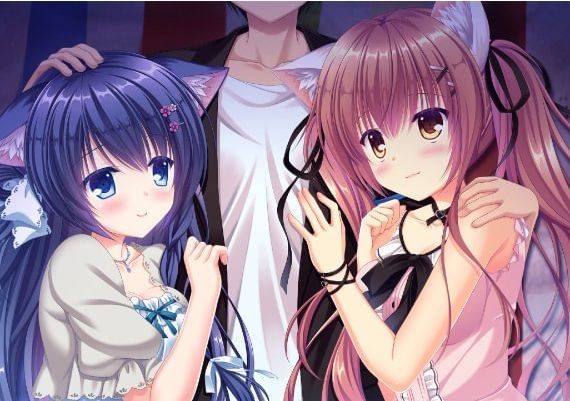 NEKO-NIN exHeart EN/JA/ZH Global Steam Digital Key