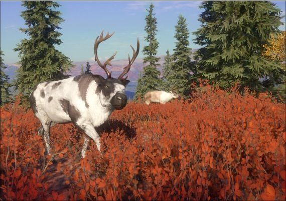 theHunter: Call of the Wild - Yukon Valley DLC EU Steam Digital Key