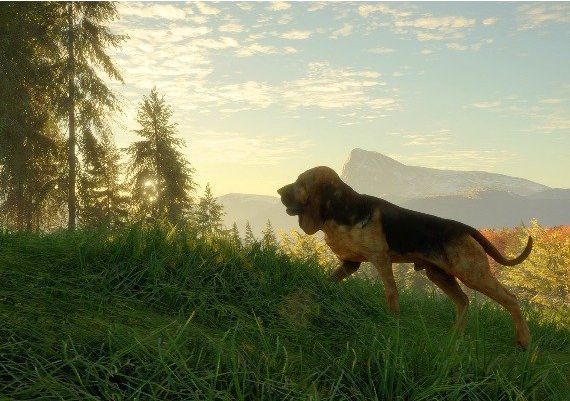 theHunter: Call of the Wild - Bloodhound DLC Global Steam Digital Key