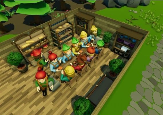 Founders' Fortune Global Steam Digital Key