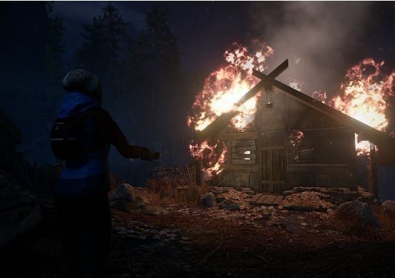 Through the Woods Collector's Edition EN/DE/FR/IT/NO/RU/ES Global Steam Digital Key