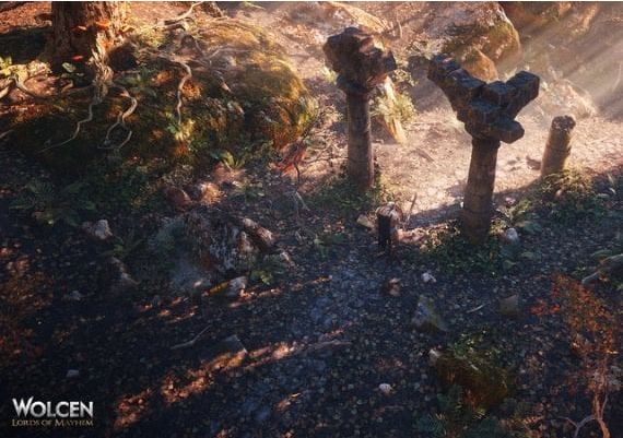 Wolcen: Lords of Mayhem EN/DE/FR Turkey Steam Digital Key