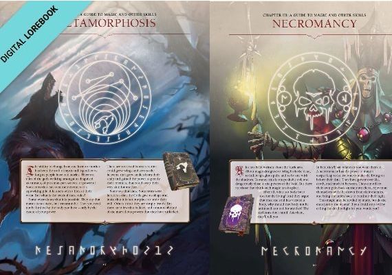 Divinity: Original Sin 2 - Divine Ascension DLC EN Global GOG Digital Key