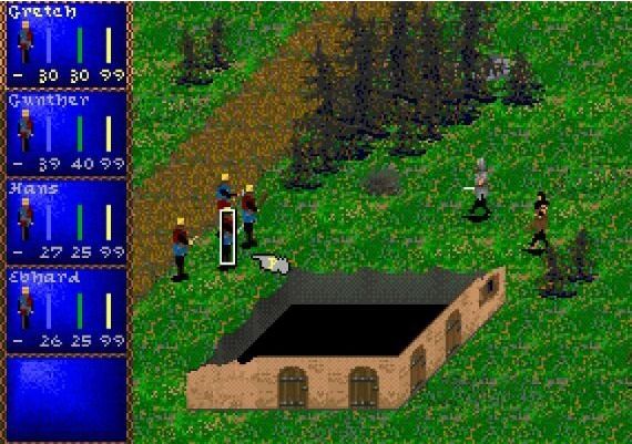 Darklands EN/DE Global Steam Digital Key