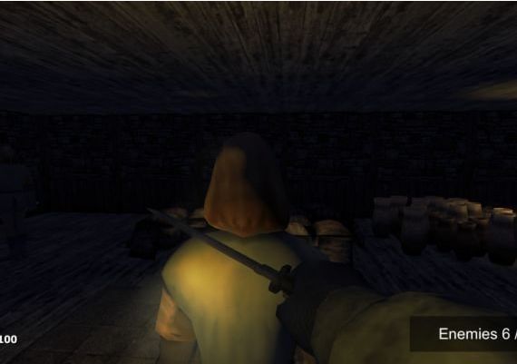 Paladin Duty - Knights and Blades EN Global Steam Digital Key