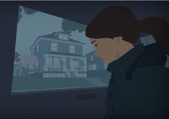 Hindsight Global Steam Digital Key