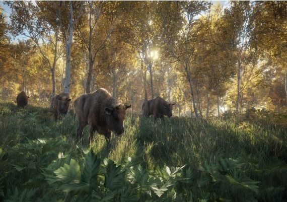 theHunter: Call of the Wild 2019 Edition EN/DE/FR/PL/CS/PT/RU/ES United States Xbox One Digital Key