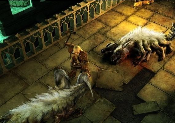 Demonicon: The Dark Eye EN Global Steam Digital Key