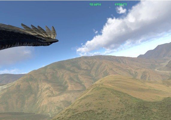 Aquila Bird Flight Simulator EN Global Steam Digital Key