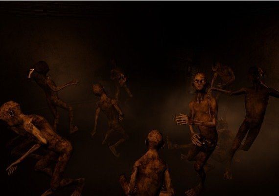 Seven Doors Global Steam Digital Key