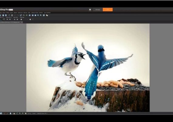 Corel PaintShop Pro x9 EN Global Software License Digital Key