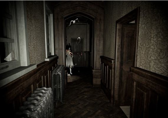 Pacify Global Steam Digital Key