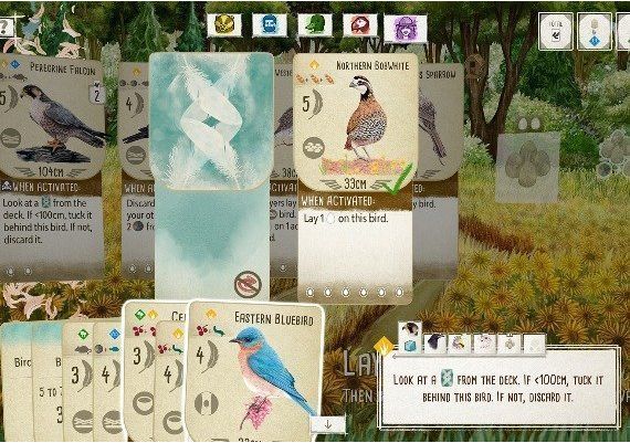 Wingspan EN Argentina Xbox One/Series Digital Key