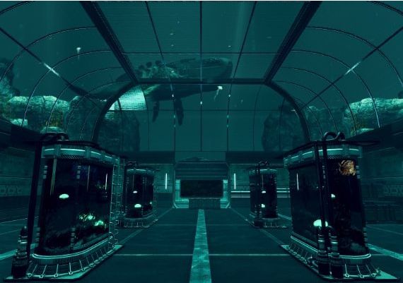 Conglomerate 451 EN Global Steam Digital Key