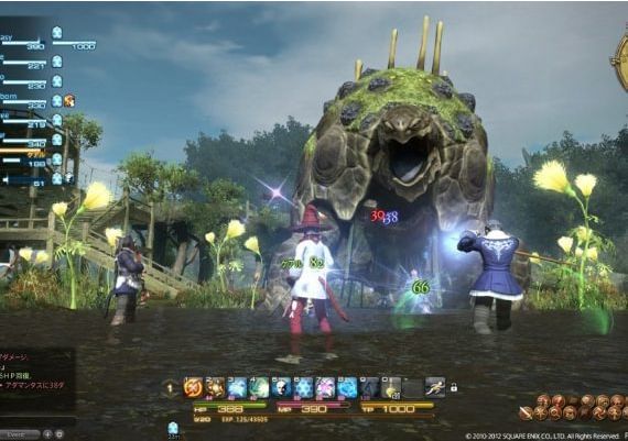 Final Fantasy XIV Starter Edition EN/DE/FR/JA EU Official website Digital Key