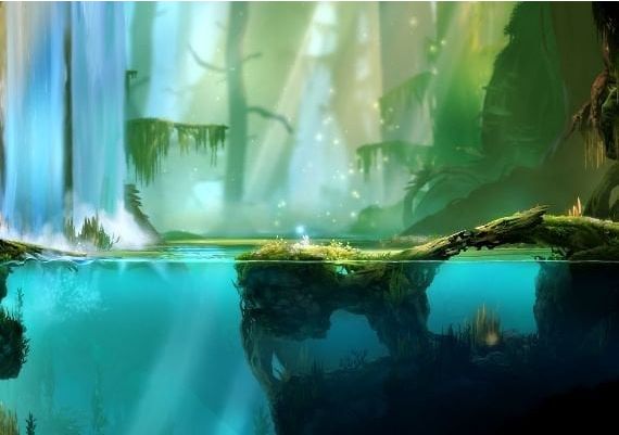 Ori and the Blind Forest Definitive Edition EN/DE/FR/IT/ES EU Steam Digital Key